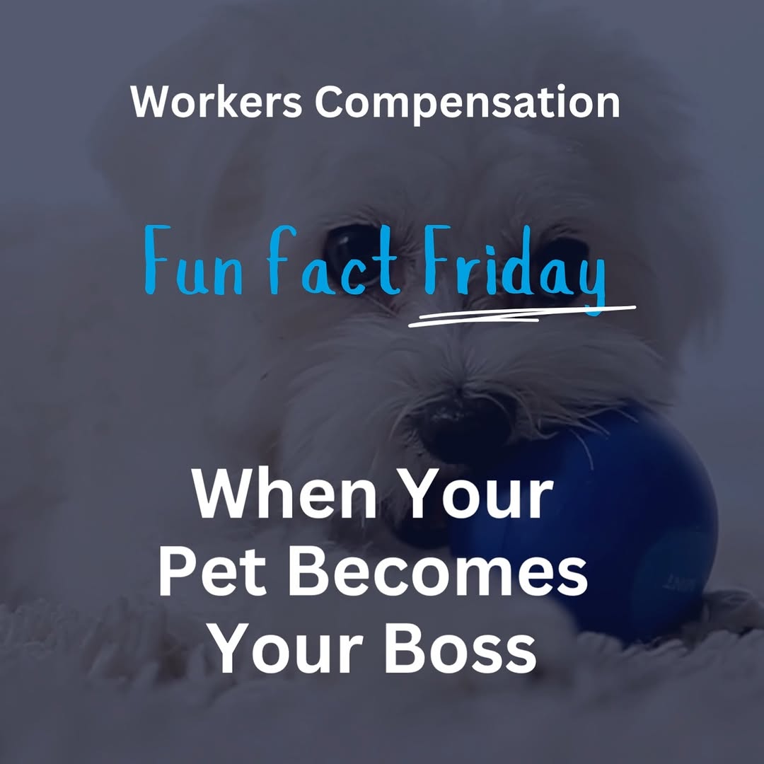 Ensure Recruitment Recruitment Image